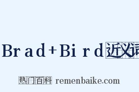 Brad+Bird近义词是什么意思的图片